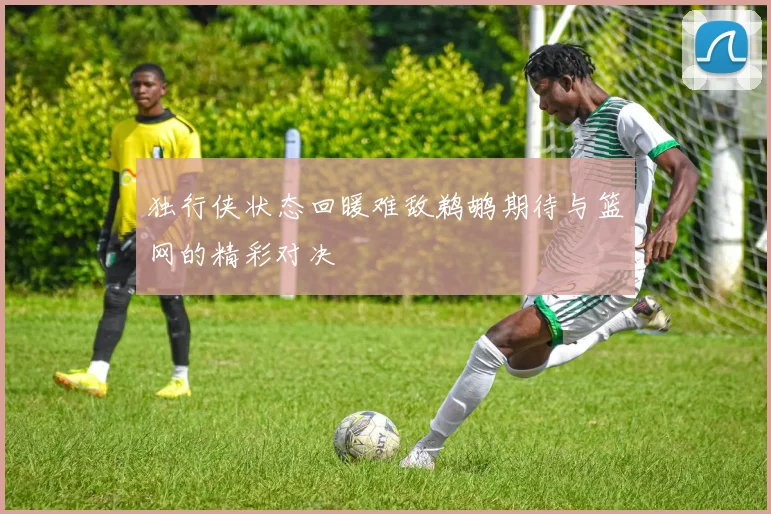独行侠状态回暖难敌鹈鹕期待与篮网的精彩对决
