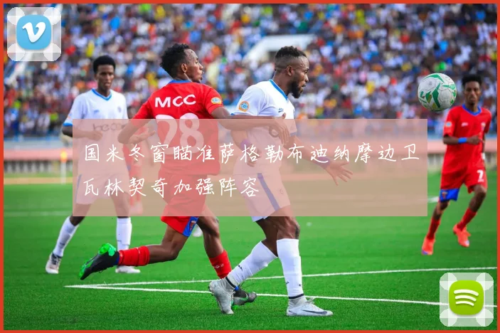 国米冬窗瞄准萨格勒布迪纳摩边卫瓦林契奇加强阵容