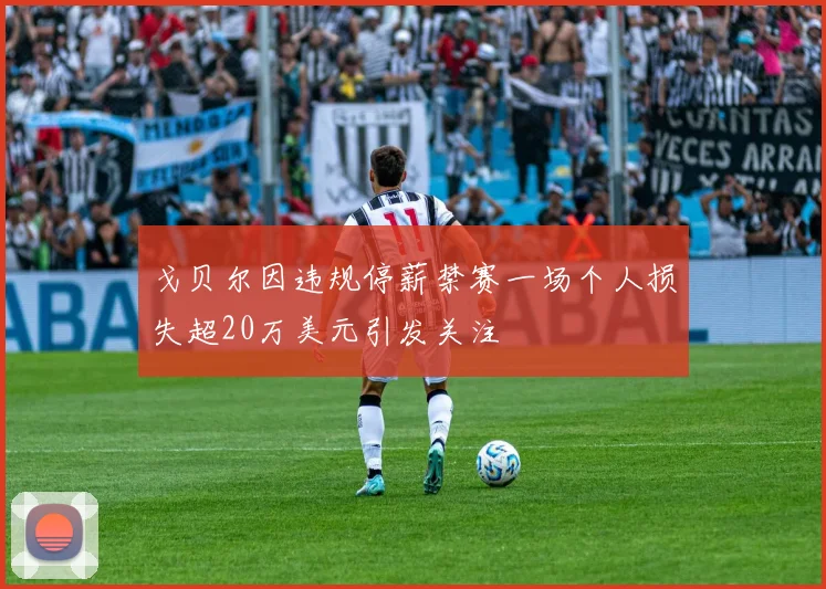 戈贝尔因违规停薪禁赛一场个人损失超20万美元引发关注